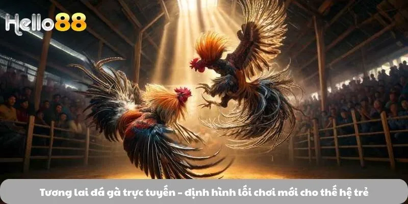 Tương lai đá gà trực tuyến - định hình lối chơi mới cho thế hệ trẻ